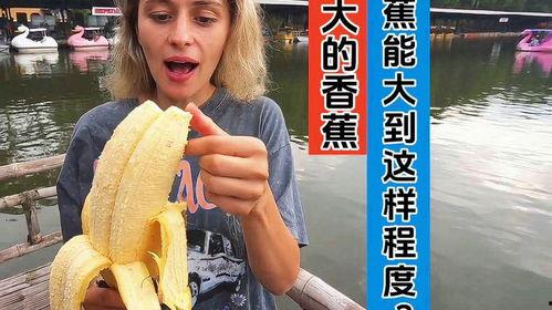 大香蕉高清免费视频,畅享视觉盛宴的秘密