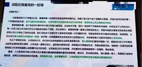 公司内部员工爆料视频,公司员工爆料视频深度解析