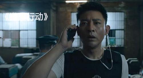 警匪片 男明星,男明星的警匪传奇