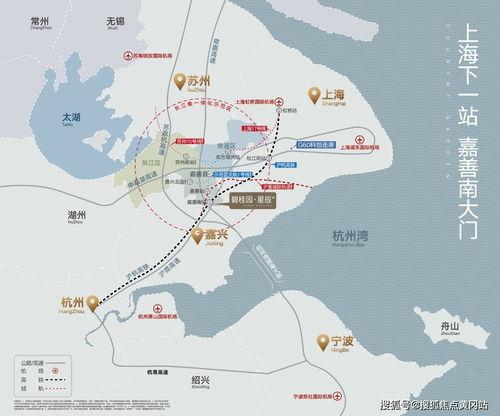 岳阳最新新闻爆料电话,揭秘城市动态，倾听市民心声