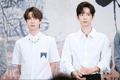 明星兄弟有多少,揭秘娱乐圈中的血缘纽带