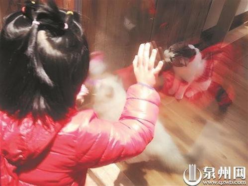 撸一撸在线免费观看,解锁在线观影新体验