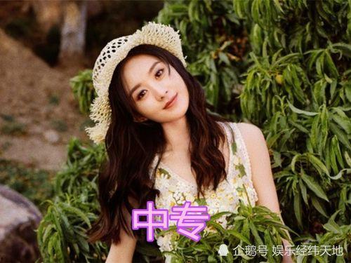 职高学历的明星,那些从职高走出的璀璨明星