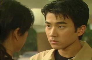 明星电视剧图,明星电视剧图鉴