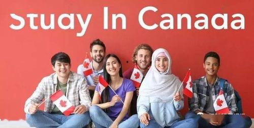 加拿大留学爆料事件最新,揭秘校园潜规则与真实生存挑战