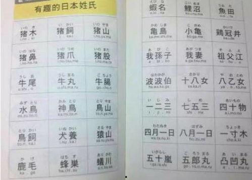 日本姓氏 颖,颖姓家族的传奇故事