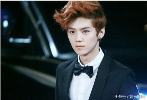 鹿勋文鹿晗是明星,揭秘鹿晗的明星之路