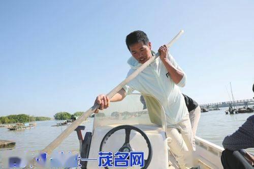 小池的视频,探秘日常生活之美