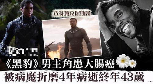 av续子,揭秘影视作品的衍生魅力