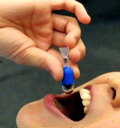 日本肛门检查,传统习俗与现代医学的交汇