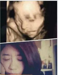 明星四维,揭秘明星们的多维魅力与人生轨迹