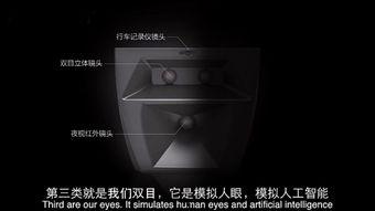 双目视频,捕捉现实世界的视觉盛宴